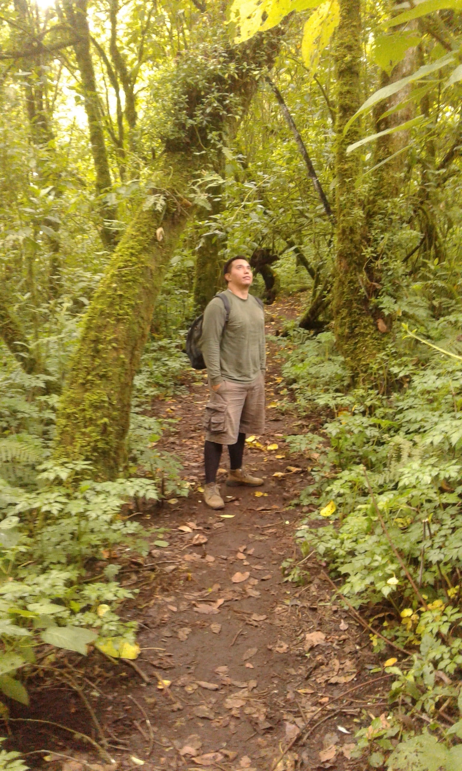 Set Sail with Shipfound: Unleashing Your Inner Explorer.