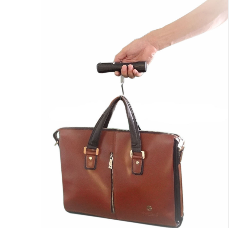 Travel portable luggage suitcase luggage weight digital weighing hook scale - Shipfound